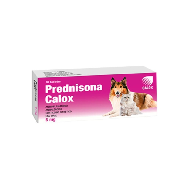PREDNISONA-5MG-WEB-