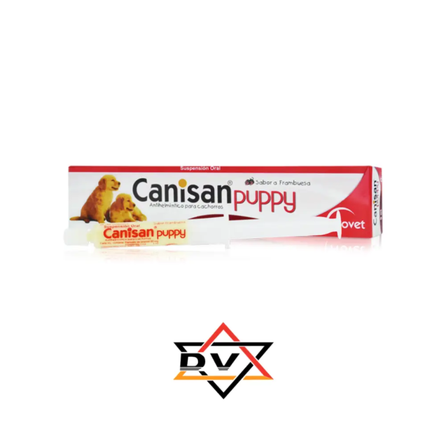 Canisan puppy